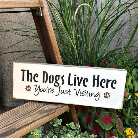 Dog lover 