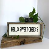 Hello Sweet Cheeks, Funny Bathroom Sign
