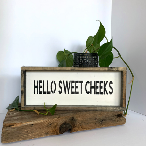 Hello Sweet Cheeks, Funny Bathroom Sign