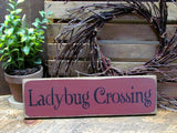 ladybug crossing